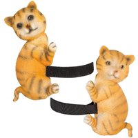 Fallrohr-Kletterer: Katzen, Set/2 von MyFlair