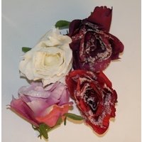 4er Set Rose gefrostet mit Clip von MyFlair