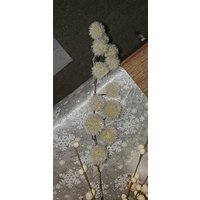 Wollzweig x13 mit Glitzer von MyFlair