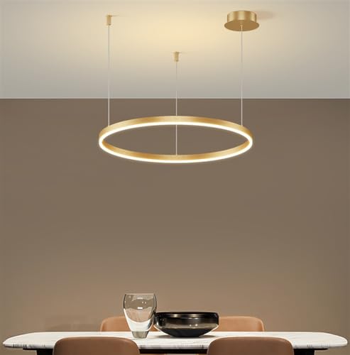 LED Pendellampe Wohnzimmerlampe Moderne Pendelleuchte Dimmbar Mit Fernbedienung Aluminium Kronleuchter Metall Acryl Hängelampe Esstischlampe Schlafzimmer Deckenleuchte Beleuchtung Gold 1-Ring 60CM von MyLjp