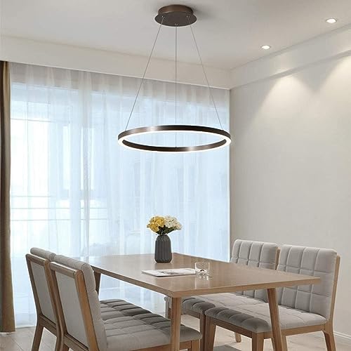 LED Pendelleuchte Esszimmerlampe Metall ring Hängelampe Höhenverstellbar Wohnzimmerlampe Kronleuchter Dimmbar mit Fernbedienung Hängeleuchte Runde Pendellampe Acryl Deckenleuchte (Größe : 60CM) von MyLjp