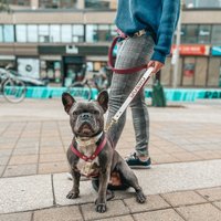 Wasserdichte Biothane Hands Free Hundeleine, Verstellbare Personalisierte Cross Body Welpentraining Hundeleine von MyLolaBear