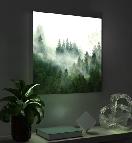 MyMaxxi - Pixlip Poster Nebliger Wald Wandbild Design Wand Dekoration, Baum Nebel grün Leuchtrahmen - Wald, 120x84 cm, Rahmen: nur Druck von MyMaxxi