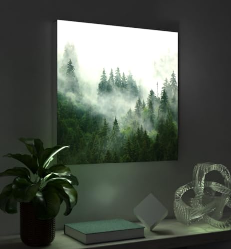MyMaxxi - Pixlip Poster Nebliger Wald Wandbild Design Wand Dekoration, Baum Nebel grün Leuchtrahmen - Wald, 84x60 cm, Rahmen: nur Druck von MyMaxxi