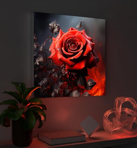 MyMaxxi - Pixlip Poster Rote Rose Wandbild Design Wand Dekoration, Foto schwarz rot Leuchtrahmen - Rosenblüte, 60x84 cm, Rahmen: Leuchtrahmen inkl. Druck von MyMaxxi