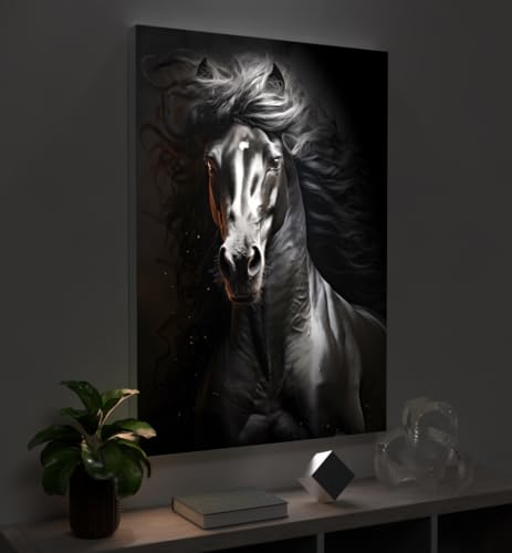 MyMaxxi - Pixlip Poster Schwarzes Pferd 1 Wandbild Design Wand Dekoration, Foto schwarz weiß Leuchtrahmen - Pferdekopf, 60x84 cm, Rahmen: Leuchtrahmen inkl. Druck von MyMaxxi