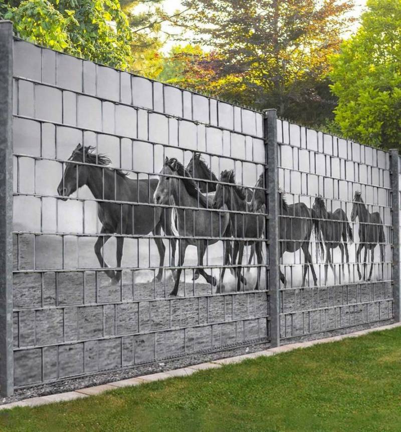MyMaxxi Sichtschutzstreifen Sichtschutzstreifen freilaufende Pferde Strand Sichtschutz Garten Zaun, (freilaufende Pferde am Strand) MyMaxxi Sichtschutzstreifen Sichtschutzstreifen freilaufende Pferde Strand Sichtschutz Garten Zaun, (freilaufende Pferde am Strand) von MyMaxxi