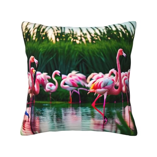 MyPiky Bunte und fabelhafte Flamingo-Druck-Kissenbezüge, quadratische Kissenbezüge, Couch, Sofa, Schlafzimmer, Büros, Wohnzimmer-Dekor MyPiky Bunte und fabelhafte Flamingo-Druck-Kissenbezüge, quadratische Kissenbezüge, Couch, Sofa, Schlafzimmer, Büros, Wohnzimmer-Dekor von MyPiky