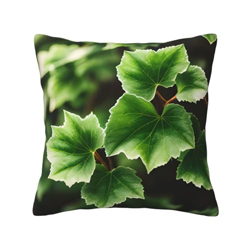 MyPiky Quadratische Kissenbezüge mit Efeublüten-Baum-Druck, für Couch, Sofa, Schlafzimmer, Büro, Wohnzimmer MyPiky Quadratische Kissenbezüge mit Efeublüten-Baum-Druck, für Couch, Sofa, Schlafzimmer, Büro, Wohnzimmer von MyPiky