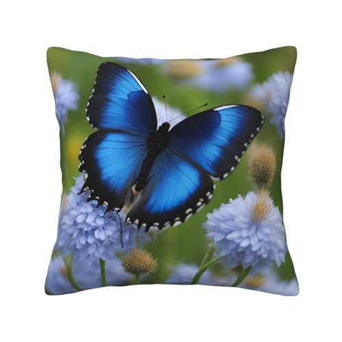 MyPiky Quadratische Kissenbezüge mit blauem Schmetterlings-Aufdruck, für Couch, Sofa, Schlafzimmer, Büro, Wohnzimmer MyPiky Quadratische Kissenbezüge mit blauem Schmetterlings-Aufdruck, für Couch, Sofa, Schlafzimmer, Büro, Wohnzimmer von MyPiky