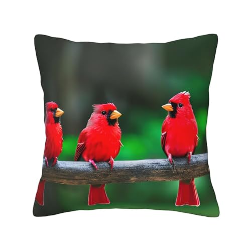 MyPiky Quadratische Kissenbezüge mit niedlichem Vogelmotiv, für Couch, Sofa, Schlafzimmer, Büro, Wohnzimmer, Rot MyPiky Quadratische Kissenbezüge mit niedlichem Vogelmotiv, für Couch, Sofa, Schlafzimmer, Büro, Wohnzimmer, Rot von MyPiky