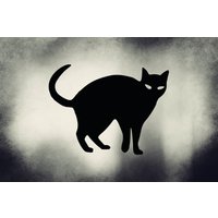 Schwarze Katze - Vinyl Wandtattoo von MyWonderLife