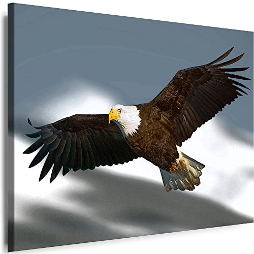 Myartstyle - Bilder Adler Eagle Vogel Tiere Natur 60 x 40 cm Leinwandbilder Xxl - 1 Teilige Wandbilder Kunstdrucke w-a-2054-1 von Myartstyle