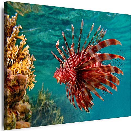 Myartstyle - Bilder Fische Natur Meer Tiere 60 x 40 cm Leinwandbilder XXL - 1 Teilige Wandbilder Kunstdrucke w-a-2060-31 von Myartstyle