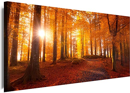 Myartstyle - Bilder Panorama 80x30cm - Leinwandbild 1 Teilig - XXL Wandbild Herbst Wald Kunstdrucke Natur Landschaften w-1p-s222-37 von Myartstyle