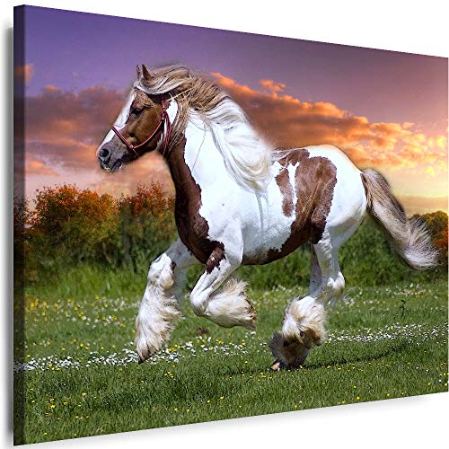 Myartstyle - Bilder Pferde Natur Tier Galop 70 x 50 cm Leinwandbilder XXL - 1 Teilige Wandbilder Kunstdrucke w-a-2033-8 von Myartstyle