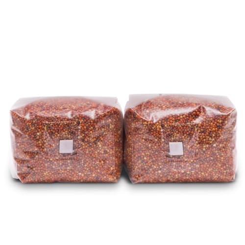 Mycelium Milo Getreidelaich | 2er-Pack (je 1,4 kg) vorsterilisiertes Pilzsubstrat mit selbstheilendem Injektionsanschluss | ideal für starkes Mycelium Wachstum und Großanbau | gebrauchsfertig von Mycelium