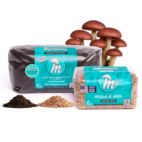 Mycelium Plus 2,7 kg Monotub Pilz Grow Kit | 1,8 kg CVG Substrat & 0,9 kg Hirse/Milo Grain Spawn + Anbauverstärker | Ideal für dungliebende Pilze | Vorsterilisiertes Bündel für Großanbau von Mycelium