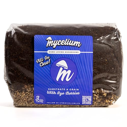 Mycelium 's Superior Dung-Loving Pilzsubstrat & Roggenbeeren Getreide 1,4 kg All-in-One Beutel - Bio Kokosfaser, Vermiculit & Gipsformel, vorsterilisiert & bereit für den einfachen Heimanbau Mycelium 's Superior Dung-Loving Pilzsubstrat & Roggenbeeren Getreide 1,4 kg All-in-One Beutel - Bio Kokosfaser, Vermiculit & Gipsformel, vorsterilisiert & bereit für den einfachen Heimanbau von Mycelium