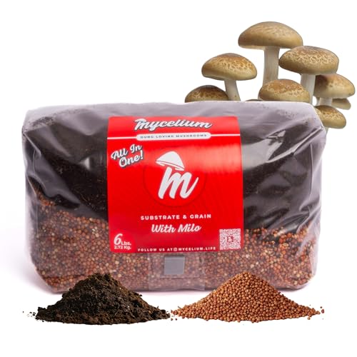 Mycelium 's Superior dungliebender Pilzsubstrat & Milo Grain 2,7 kg All-in-One Beutel - Bio Kokosfaser, Vermiculit & Gipsformel, vorsterilisiert & bereit für den einfachen Heimanbau von Mycelium