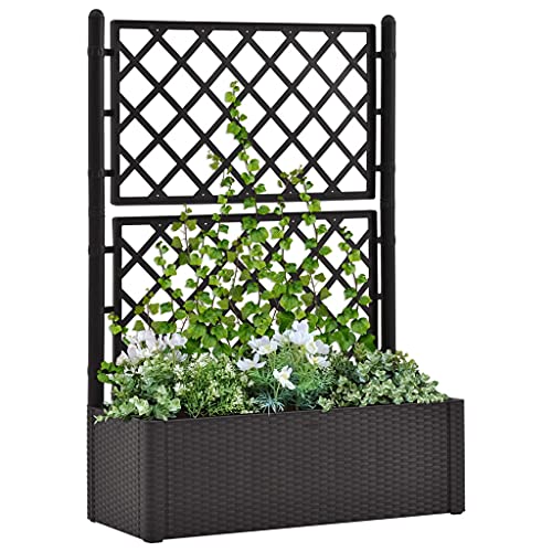 Myheimly Garten-Hochbeet mit Spalier Selbstbewässerungssystem Rattan-Design Gartenspalier Blumenkübel Pflanzkasten Rankgitter Rankhilfe Anthrazit von Myheimly