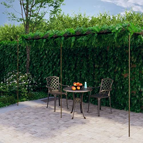 Myheimly Garten-Pergola Laube Gartenpergola Anlehn Pergola Markise Terrassenüberdachung Überdachung Rankhilfe Schmiedeeisen Antik-Braun 6x3x2,5 m Eisen von Myheimly
