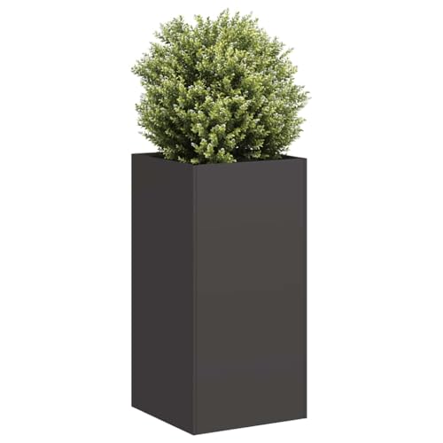 Myheimly Pflanzkübel, Pflanzschale, Garten-Garten-Pflanzkübel, Outdoor-Pflanzgefäß, Hochbeet, Pflanzgefäß Schwarz 40x40x80 cm Kaltgewalzter Stahl von Myheimly