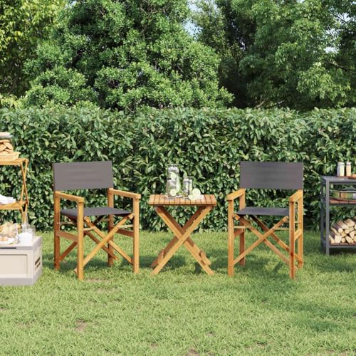 Myheimly Regiestühle 2 STK. Klappbar Klappstühle Klappstuhl Gartenmöbel Balkon Sühle Gartenstuhl Grau Massivholz Teak von Myheimly