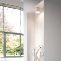 MyLight Kiel LED Deckenstrahler, Auslaufmodell weiß, innen: kaffeefarben von Mylight