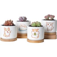 Hund Corgis Hamster Meerschweinchen Robbe Katze Keramik Bonsai Topf Blumentopf Sukkulenten Pflanzer Wohnkultur von Myminiplants