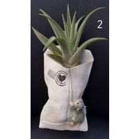 Mini Umschlag Katze Küken Wand Pflanzer Fee Blumentopf Sukkulenten Garten Ornament Wohnkultur von Myminiplants