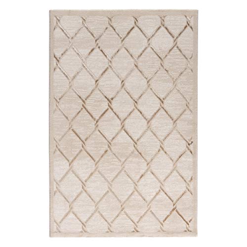 Mynes Home Teppich/pflegeleichter Teppich 3D Effekt/Teppich Wohnzimmer/Teppich Schlafzimmer/Teppich Esszimmer/Öko-Tex-100… (Lara 700 Beige, 200 x 290 cm) von Mynes