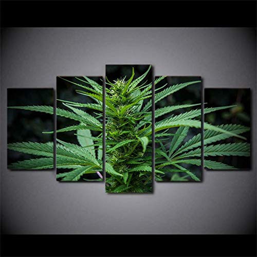 Myrdsio Kunstdrucke Gemälde 5 Teilig Leinwand Drucke,Wand Für Zuhause Malerei Wohnzimmer Wohnung Deko Modulare Bilder 420 Cannabis Cannabis Pflanze Hd Gedruckt Poster,Mit Rahmen von Myrdsio