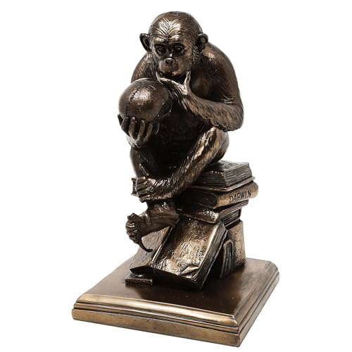 MystiCalls AFFE mit Schädel bronziert (Darwins Schädel) - Figur, Dekoration von MystiCalls