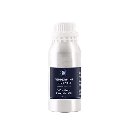 Mystic Moments | Pfeffermint arvensis ätherisches Öl 500G - reines und natürliches Öl für Diffusoren, Aromatherapie und Massage -Mischungen veganer GVO -frei von Mystic Moments