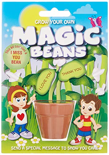 Mystic Moments Fun Seeds | Grow Your Own Magic Boans – Miss You (3 Stück), Mehrfarbig, Einheitsgröße von Mystic Moments