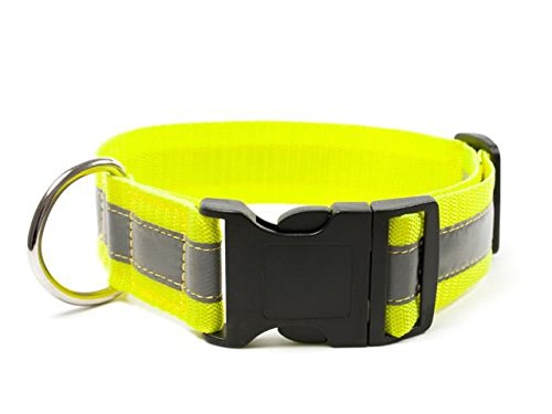 Mystique® Signalhalsband mit Klickverschluss 40mm Neongelb 50-60cm von Mystique