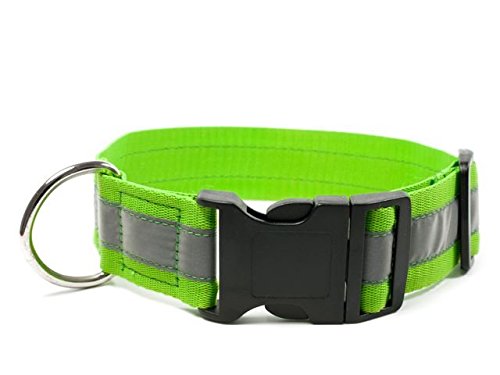 Mystique® Signalhalsband mit Klickverschluss 40mm neongrün 40-50cm von Mystique