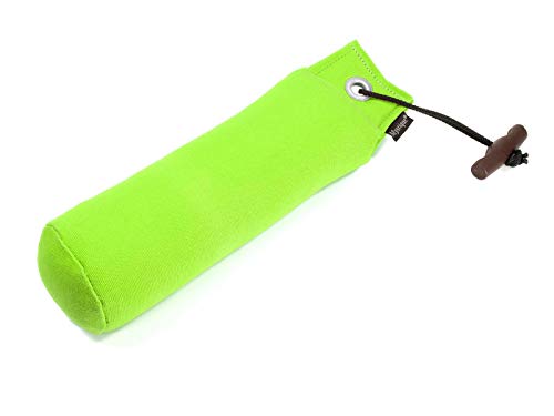 Mystique Dummy Trainer neon grün 1000g von Mystique