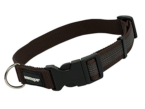 Mystique gummiertes Halsband 25mm Breite braun, Variante: 30-40cm von Mystique