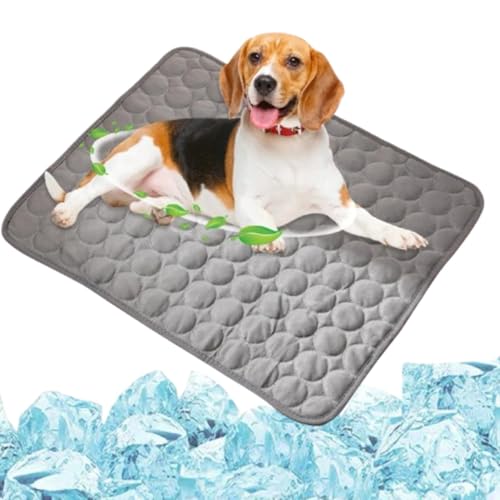 Mzzsveuy Kühlmatte für Hunde und Katzen, weiche, bequeme Kühldecke für Hunde, Kühlmatte x groß, ungiftiges Gel, Kühlkissen, Grau, 100 x 70 cm Mzzsveuy Kühlmatte für Hunde und Katzen, weiche, bequeme Kühldecke für Hunde, Kühlmatte x groß, ungiftiges Gel, Kühlkissen, Grau, 100 x 70 cm von Mzzsveuy