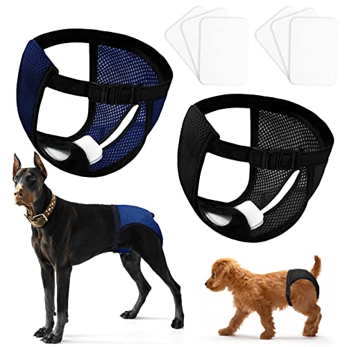 2 Pack Hundewindeln für Hündinnen Mit 16 Hygienepad,Wiederverwendbare Läufigkeitshose für Monatsblutung,verstellbarwaschbar hundewindeln,Schwarz und blau (L) von N\A