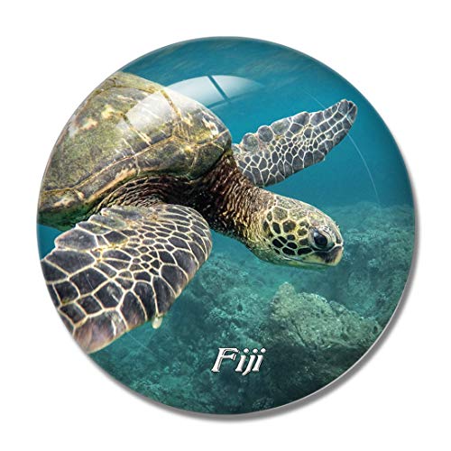 Fidschi-Schildkröte 3D-Kühlschrankmagnet Whiteboard Magnet Souvenir Kristallglas von "N/A"