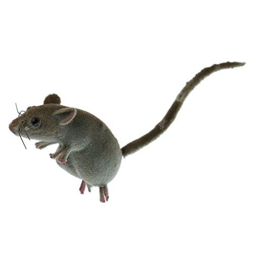Lebensechte Maus Tier Ornament Kühlschrank Magnet Topf Aufhänger Garten Dekor Spielzeug von N\A