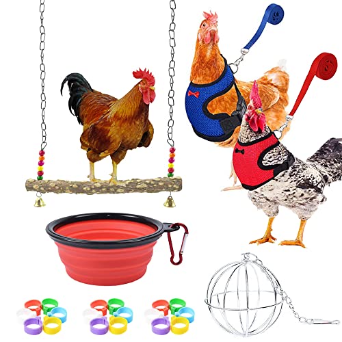 Allazone 25 Stück Hühner Spielzeug, Hühnerschaukel Hühner Spielzeug, Verstellbares Hühnergeschirr mit Leine, Hühnerfußring für Huhn, mittelgroße Vögel, Papageientraining von N\A