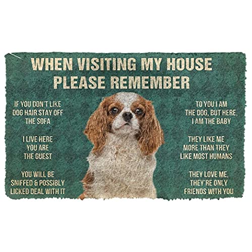 N/Ａ Fußmatte innen fussmatte außenErstaunliches Cavalier King Charles Spaniel House Rules Fußmatte Home Decor Geschenk für Hundeliebhaber deko Wohnzimmer von N/Ａ