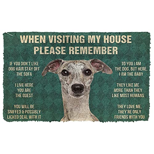 N/Ａ Fußmatte innen fussmatte außenNice Whippet Dogs Lives Here You're Guest Fußmatte Home Decor deko Wohnzimmer von N/Ａ