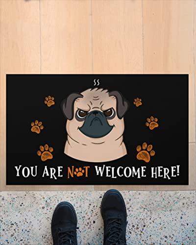 NA Fussmatte Aussen Haustür You Are Not Welcome Here Fußmatte Welcome Mat Home Decor Lustige Fußmatte Beste Geschenkidee für Hundeliebhaber Schlafzimmer deko Wohnzimmer von N\\A