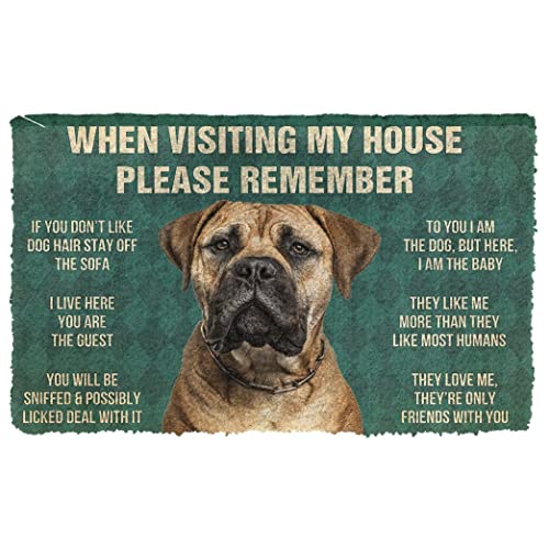 NA Fußmatte innen außen fussmatte Bitte Denken Sie an die Hausordnungs-Fußmatte des Bullmastiff-Hundes Geschenke deko Wohnzimmer von N\A