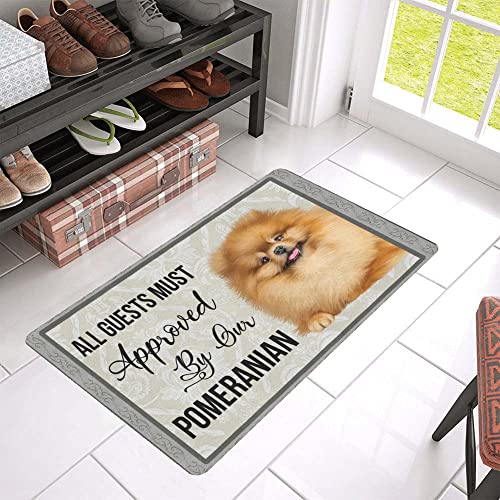 NA Fußmatte innen außen fussmatte Pomeranian Fußmatte für alle Gues Must Approved Geschenke deko Wohnzimmer von N\\A